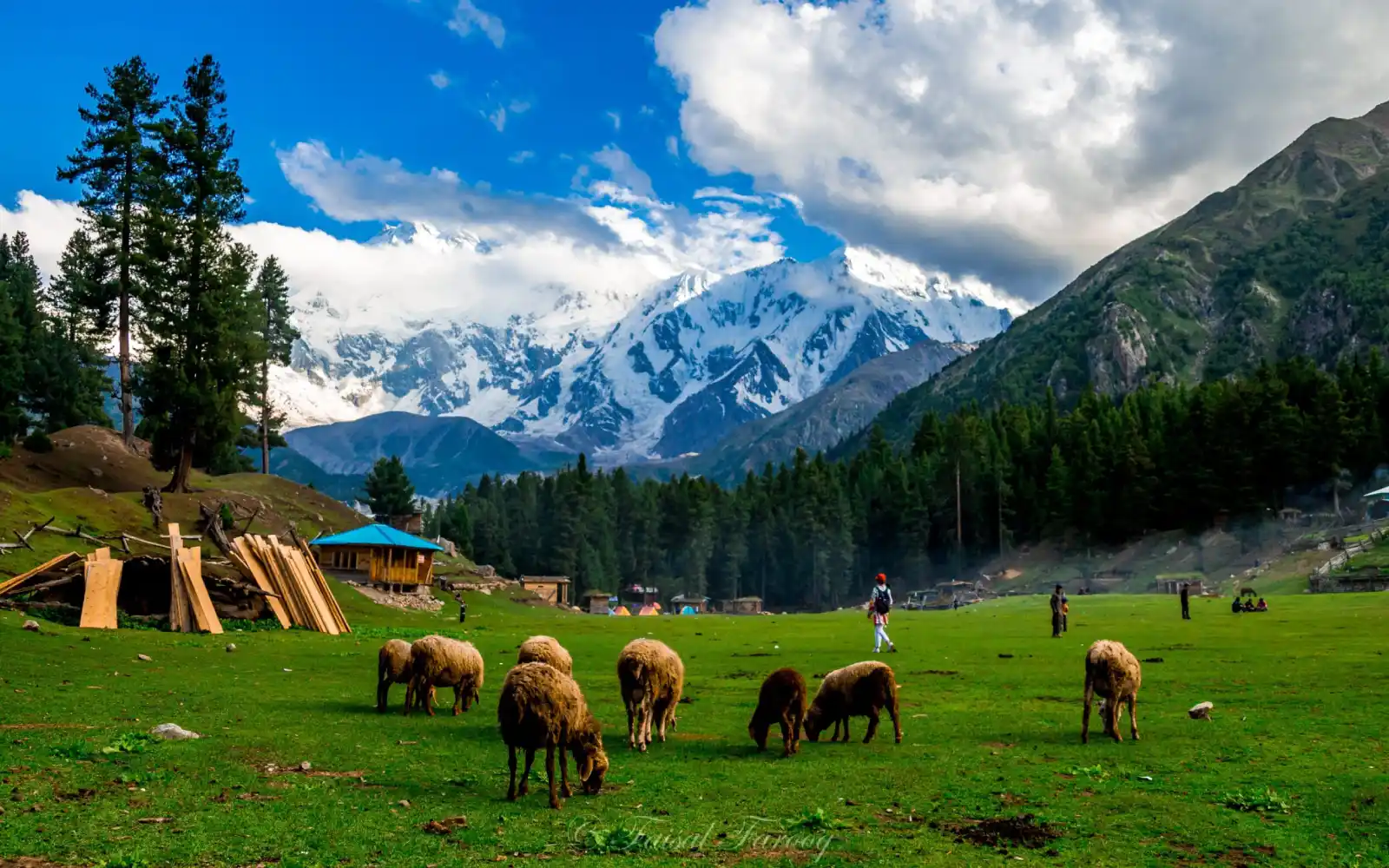 Fairy Meadows Pakistan