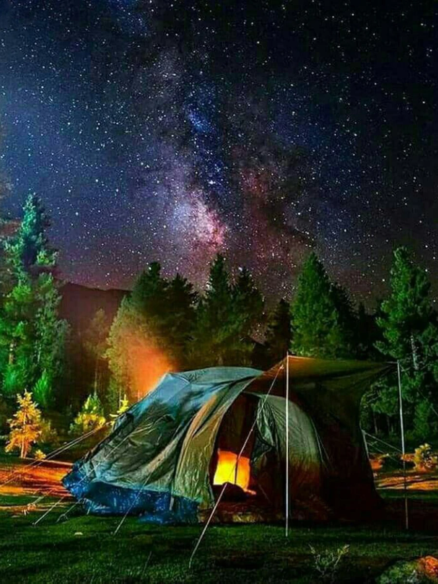             Camping Escapes
